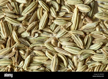 تصویر 4 از زیره سبز کوهی با طعم قوی و خواص طبیعی ویژه